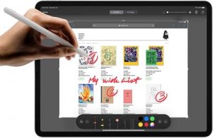 Apple 2020 iPad Pro (12,9 Pouces, Wi-FI + Cellular, 1 to) - Gris sidéral (4ᵉ génération)